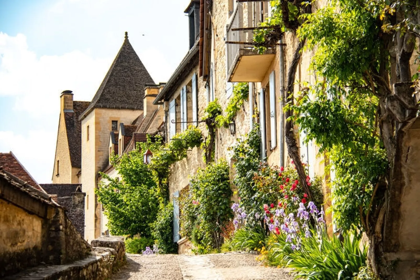 Domaine de Lanzac 4-Areas summer 20km