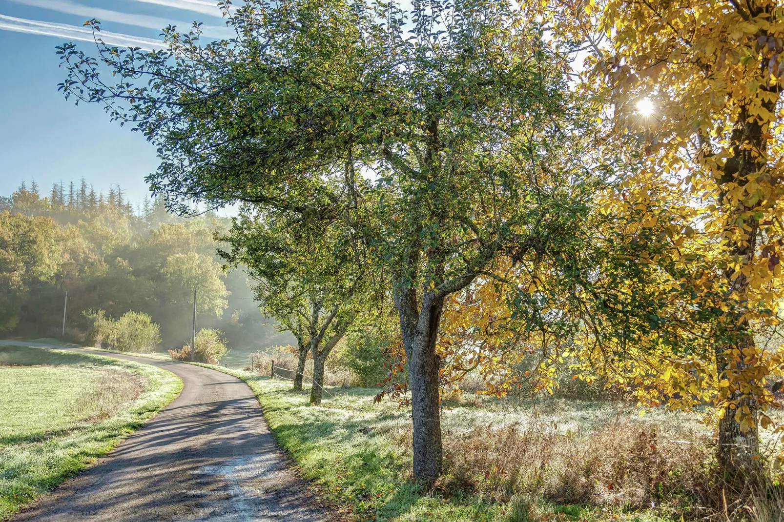 Le Repos près de Dordogne et Cahors-Gebiete Sommer 1 km