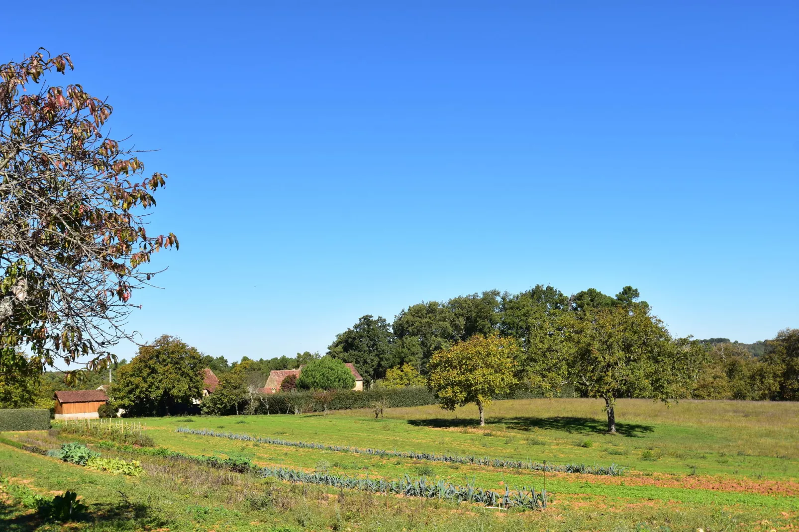 Maison de vacances Marminiac-Zones d'été à 1 km