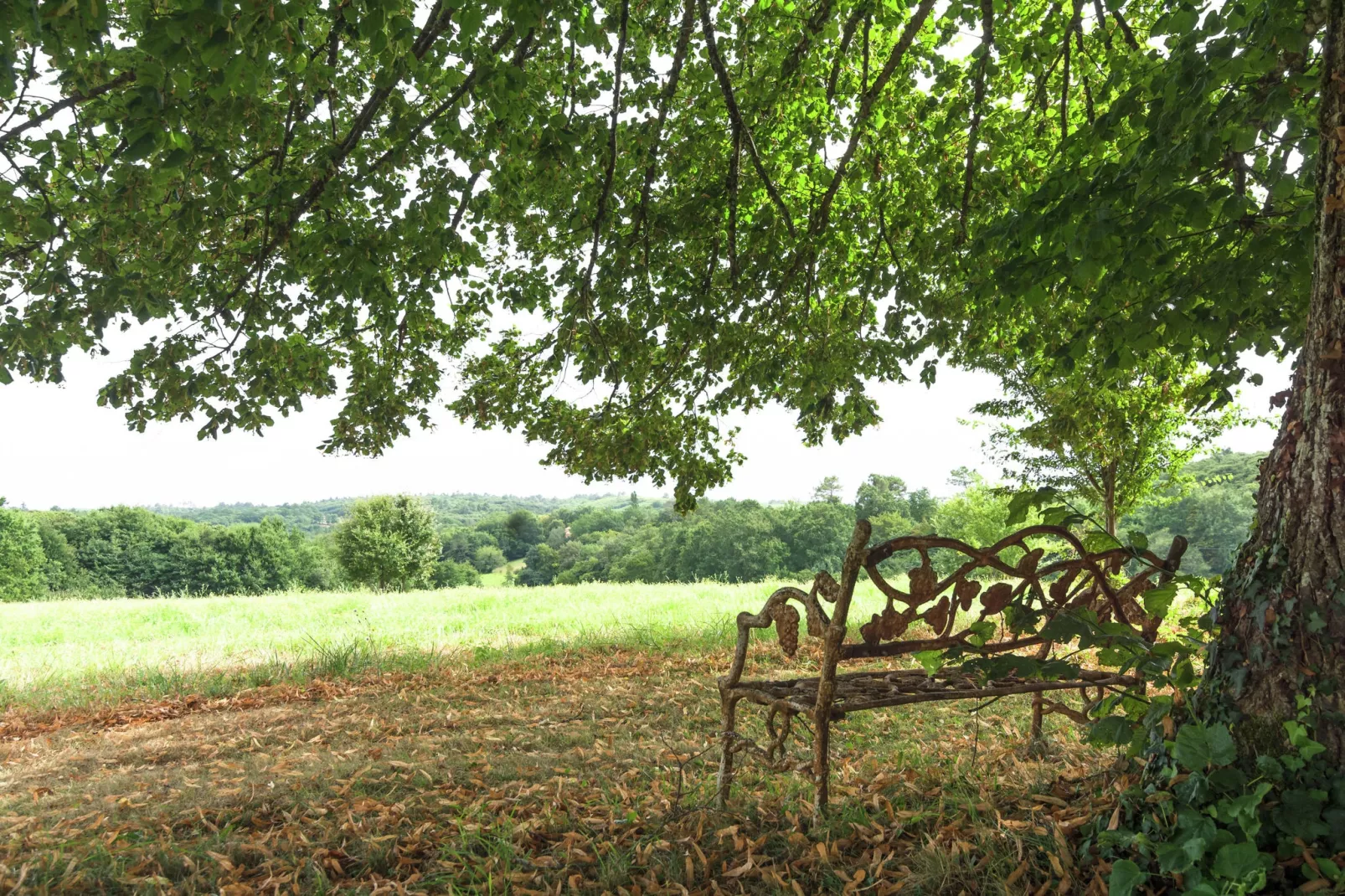 Maison de vacances Montcléra Cournes 8 pers-Gärten Sommer