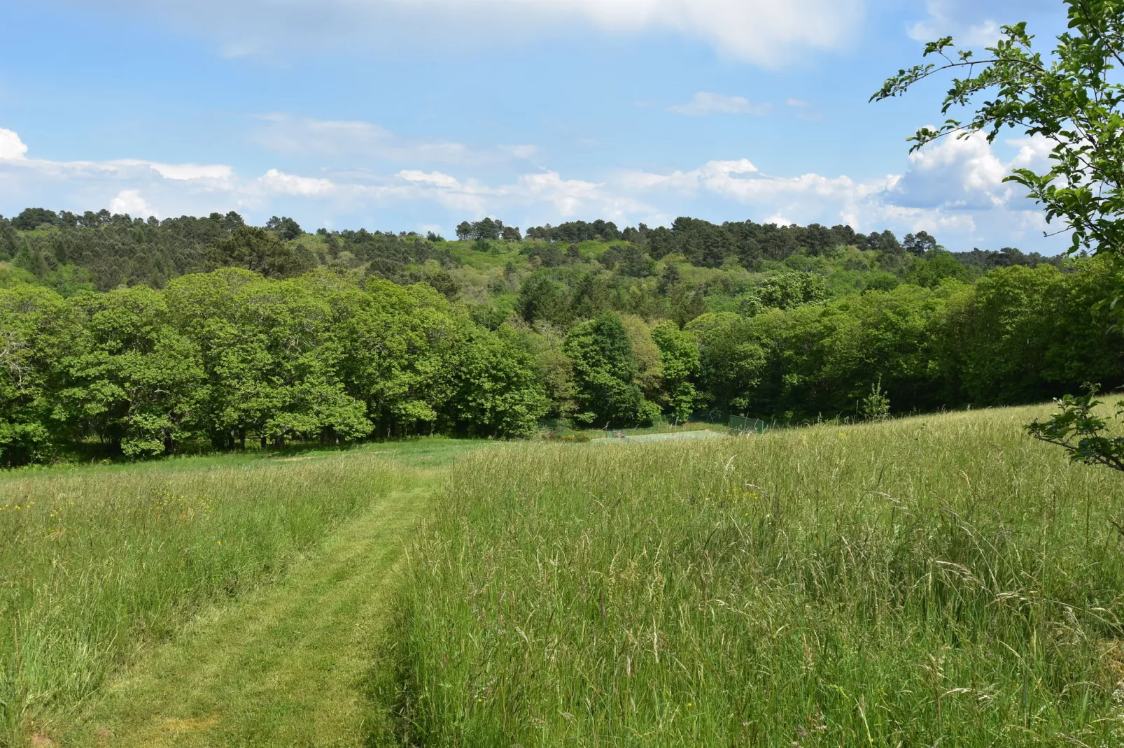 Maison de vacances Montcléra Cournes 8 pers-Gebiete Sommer 1 km