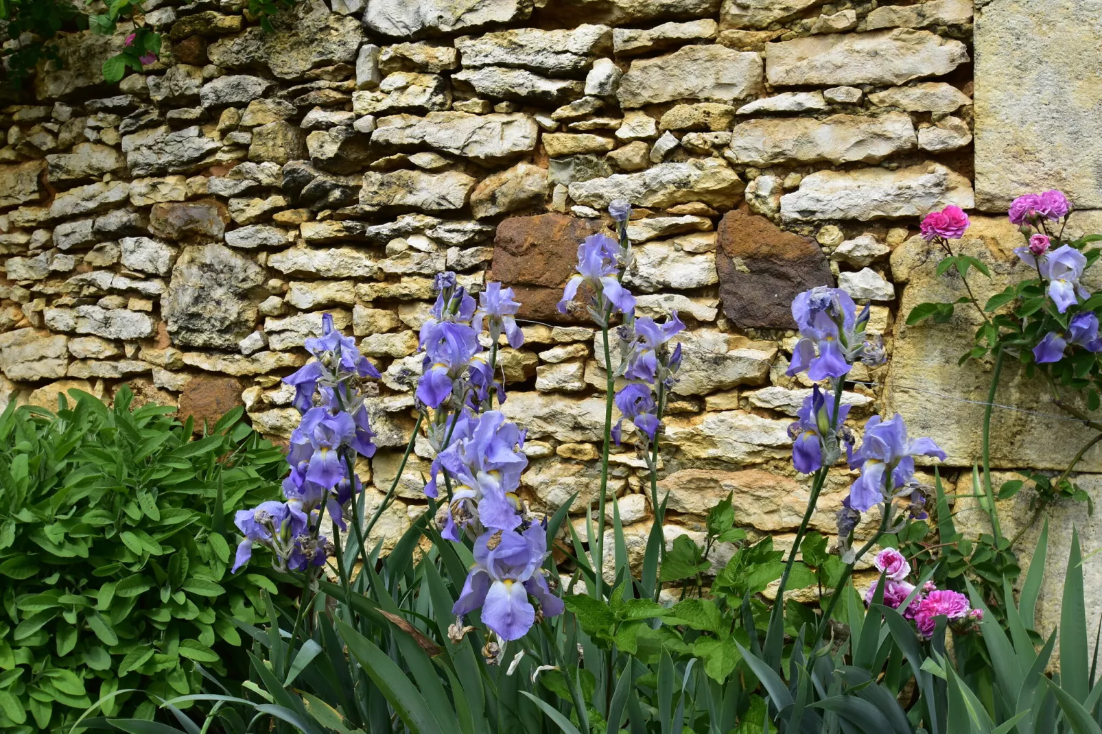 Maison belle vue-Gardens summer