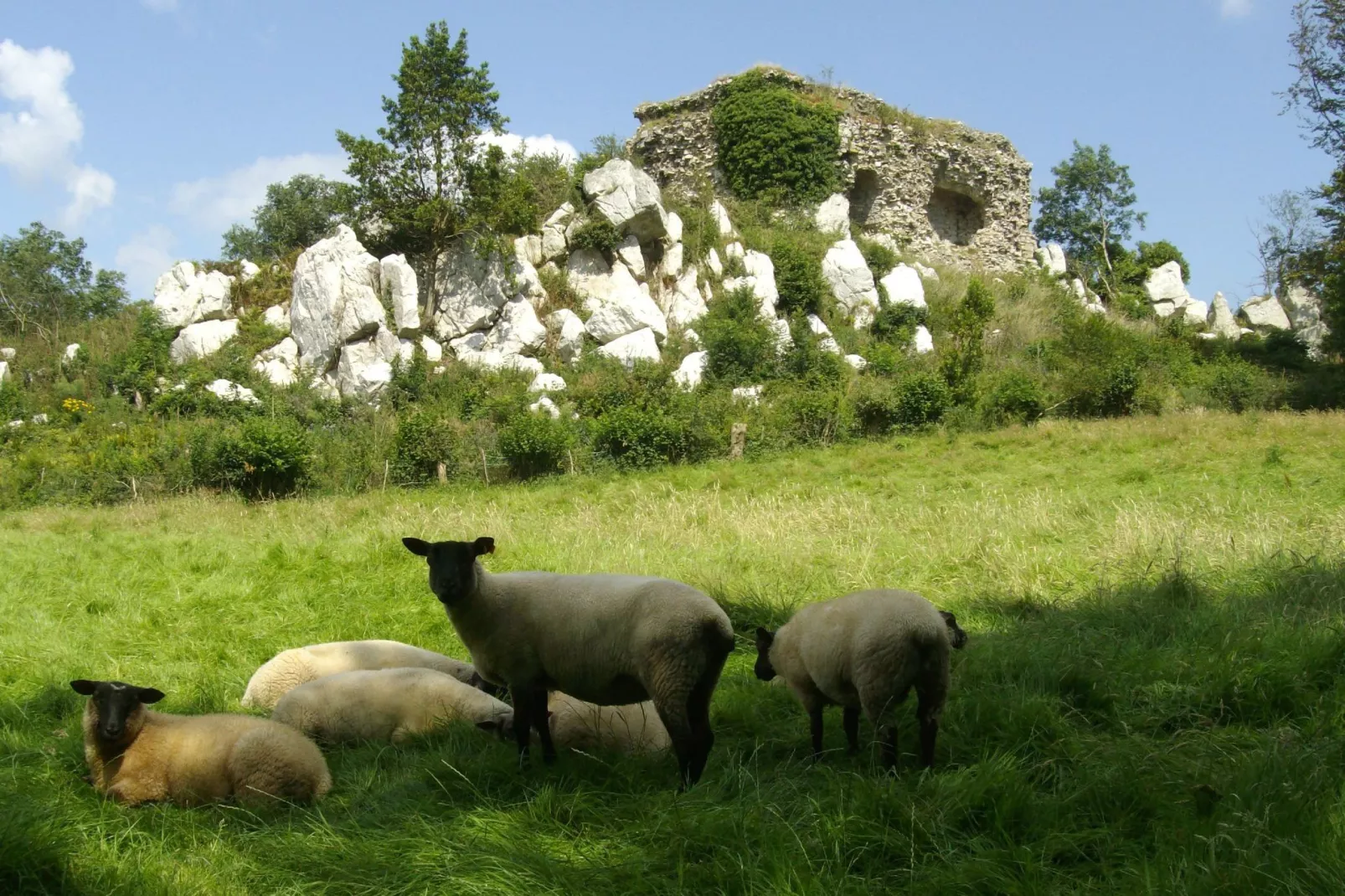 La Croix Blanche-Areas summer 5km