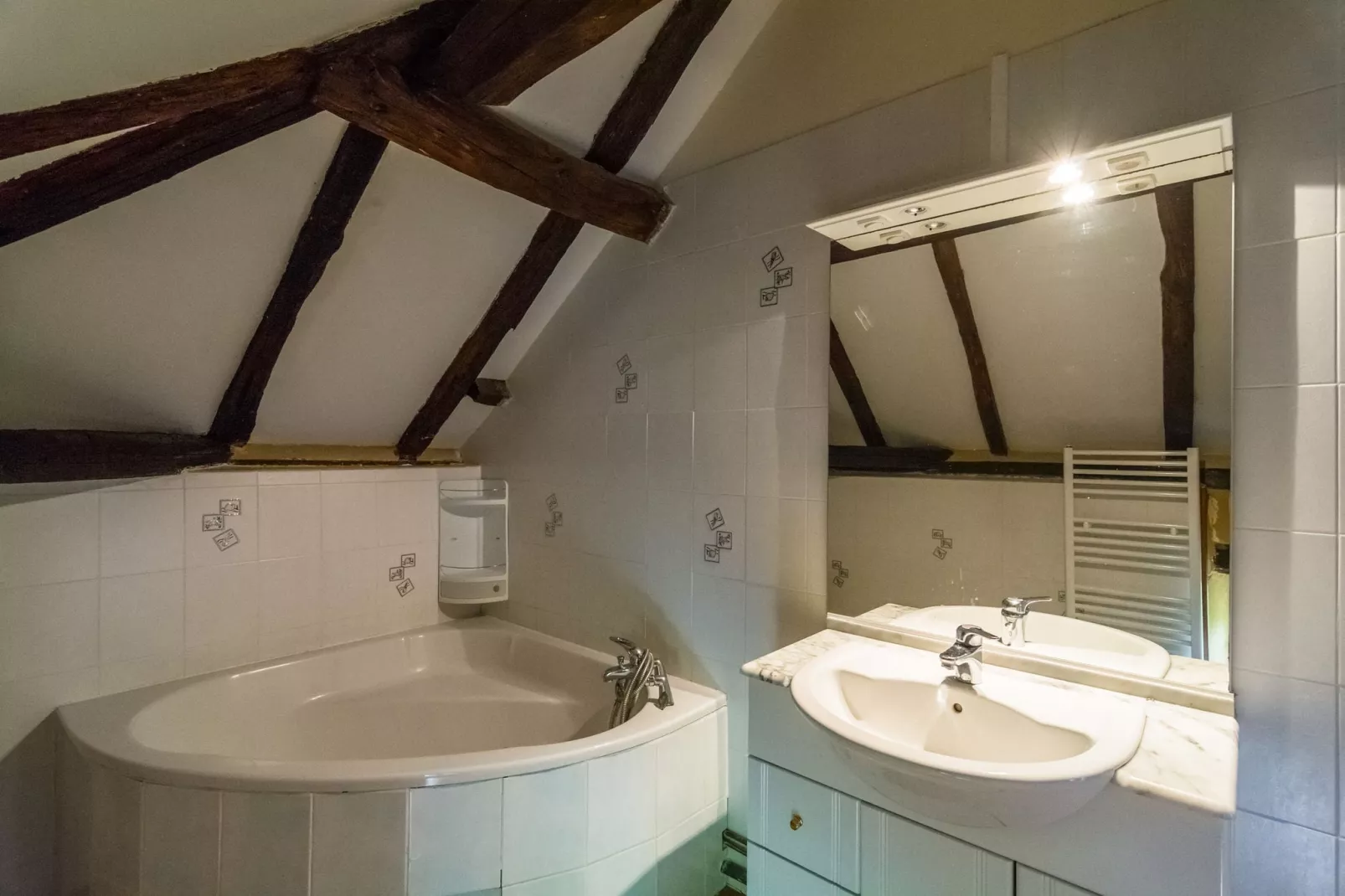 Maison de vacances Blanquefort Sur Briolance 12 pers-Bathroom
