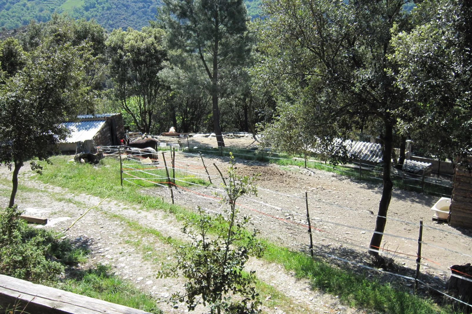 La Chataigne-View summer