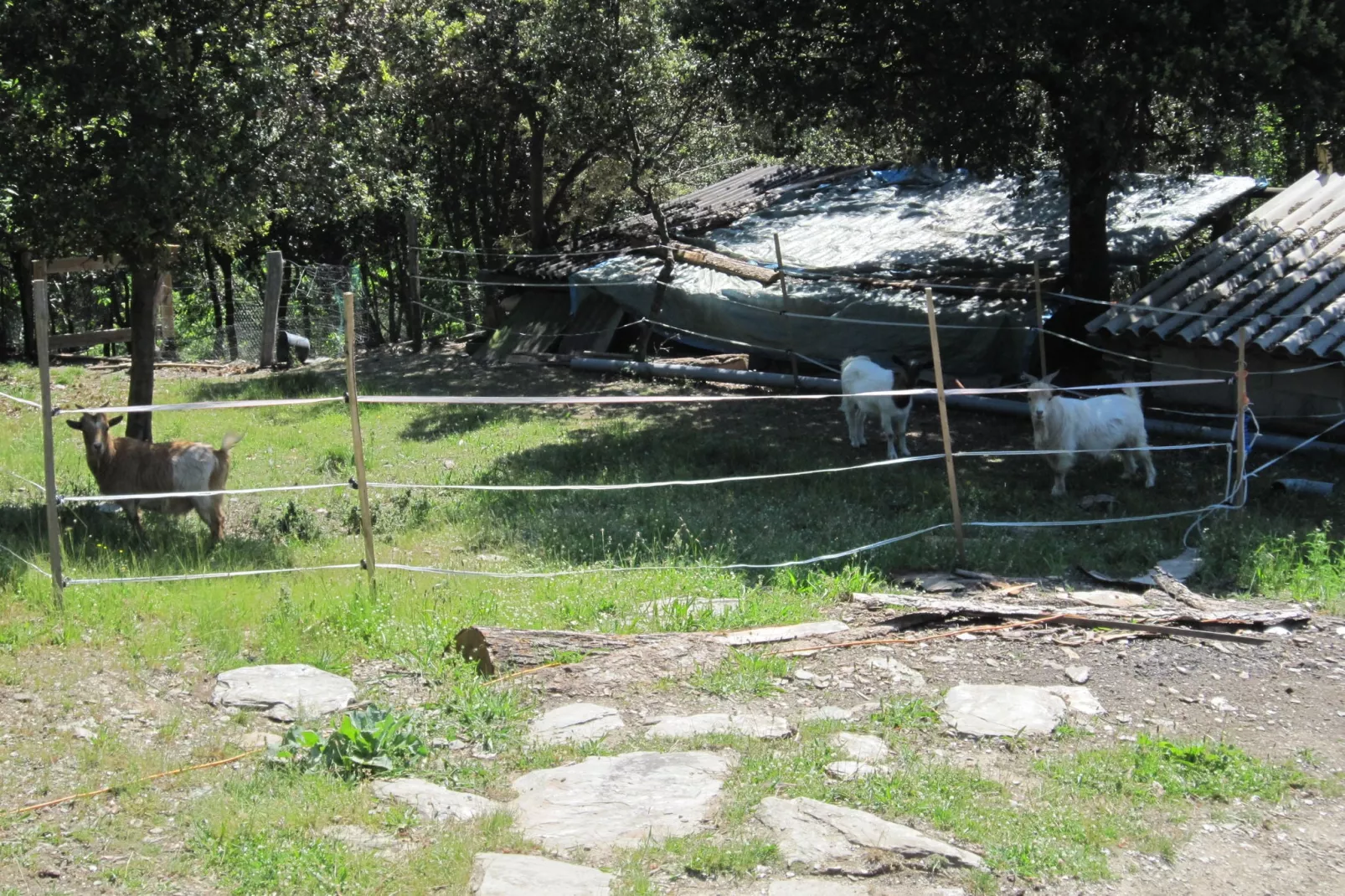 La Chataigne-Areas summer 1km