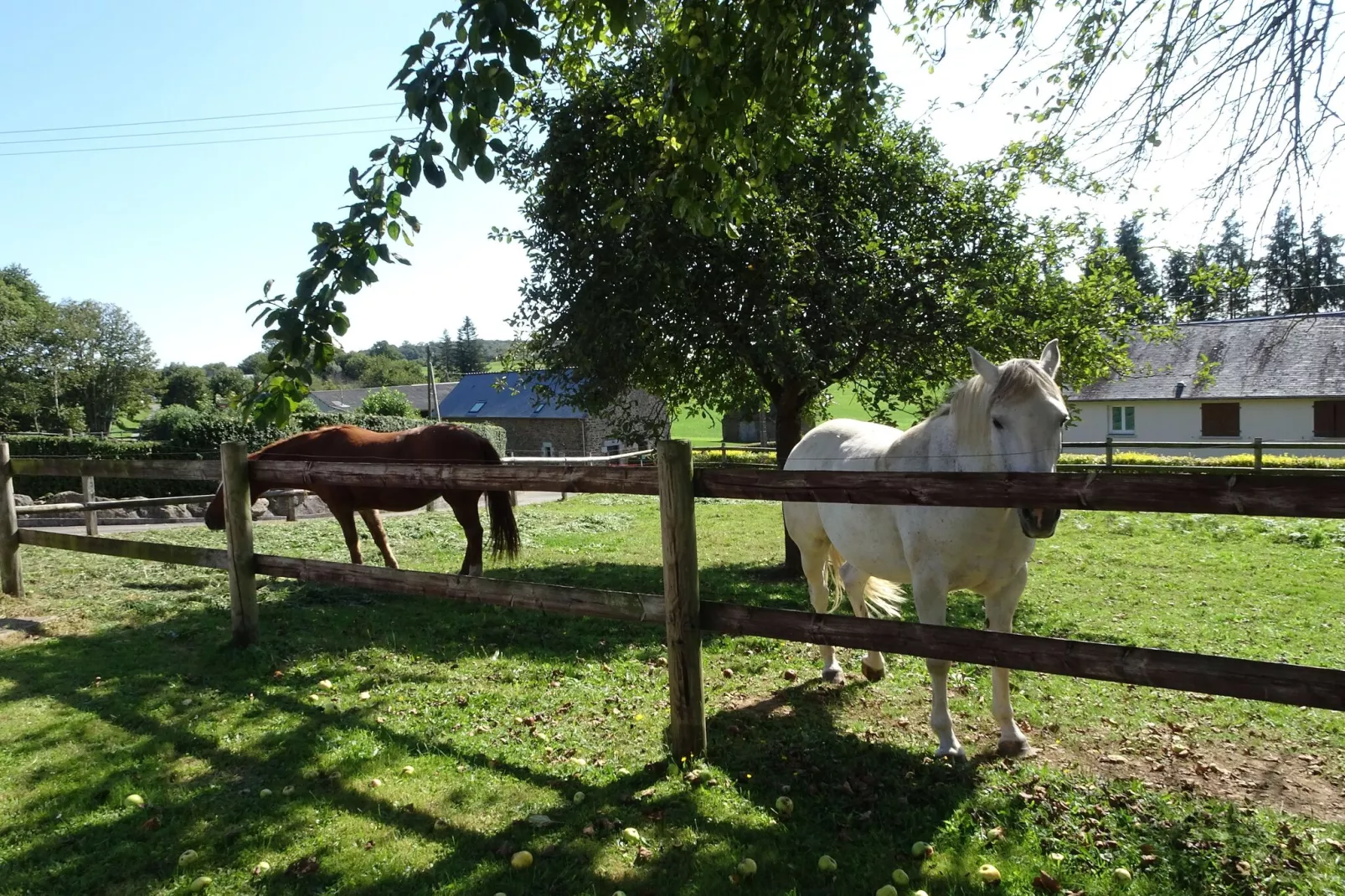 Ferienhaus Saint Ovin-Jardin d'été