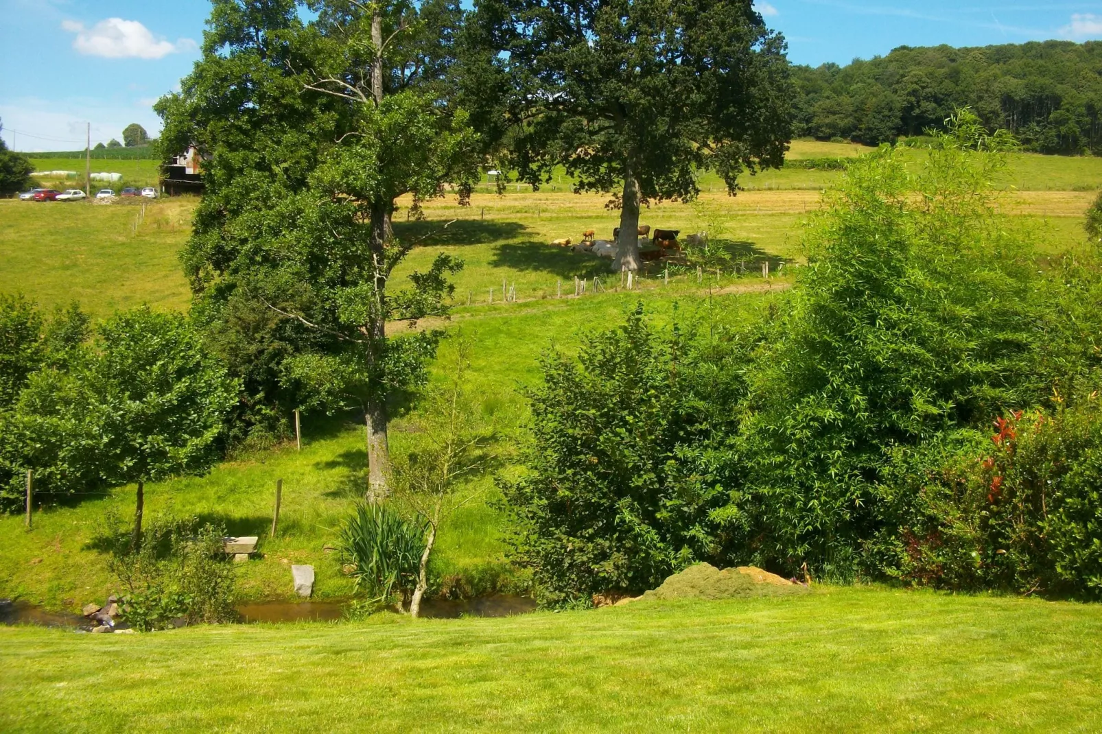 Gite 6 pers proche Mont St Michel-Gardens summer