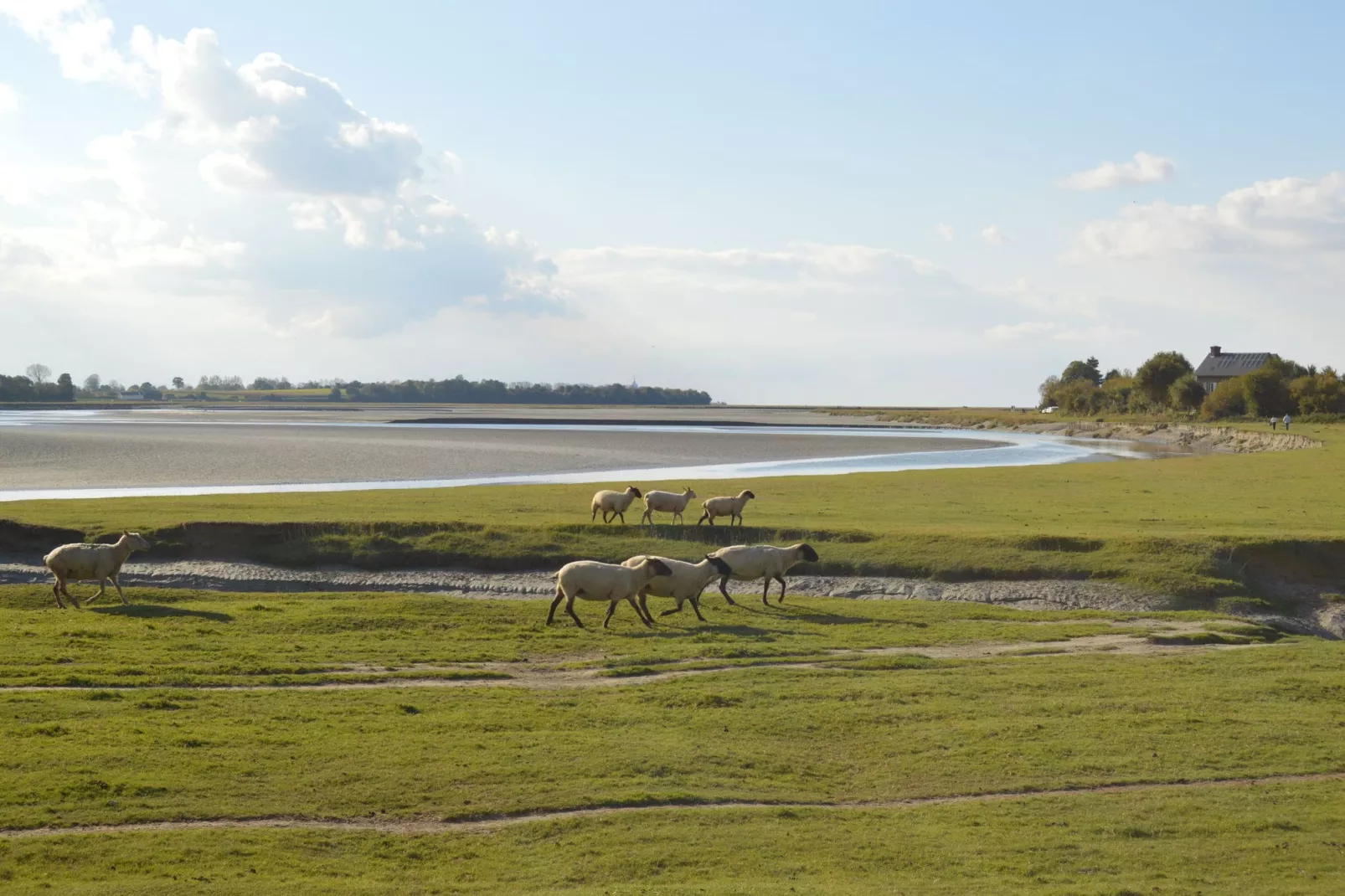 Gite 6 pers proche Mont St Michel-Areas summer 20km