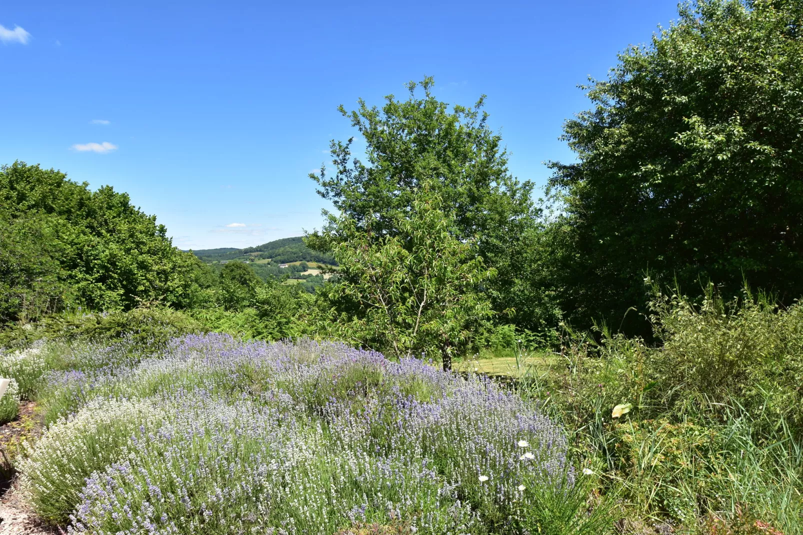 Vue de Pannecière-Gardens summer
