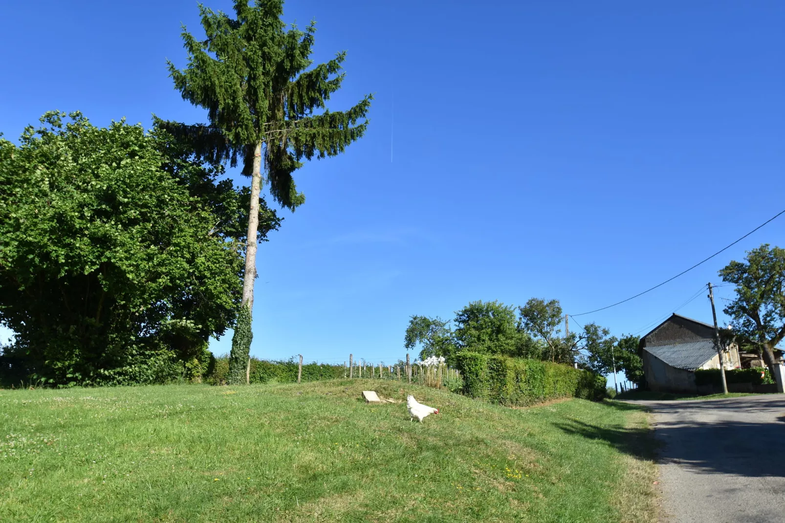 Maison de vacances Tannay-View summer
