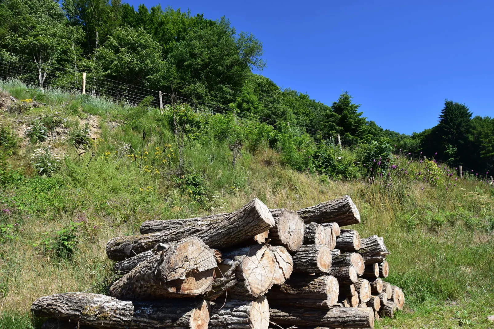 Maison de vacances Tannay-Areas summer 5km