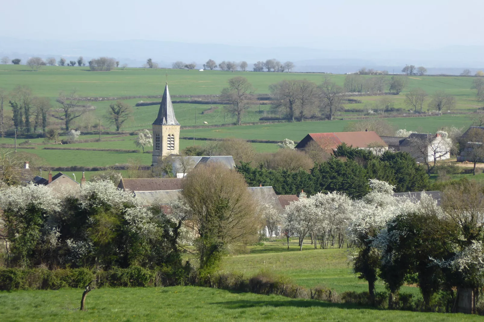 Chez Viviani-Areas summer 1km