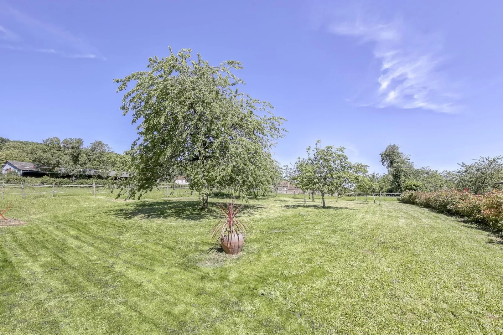 Chez Viviani-Areas summer 1km