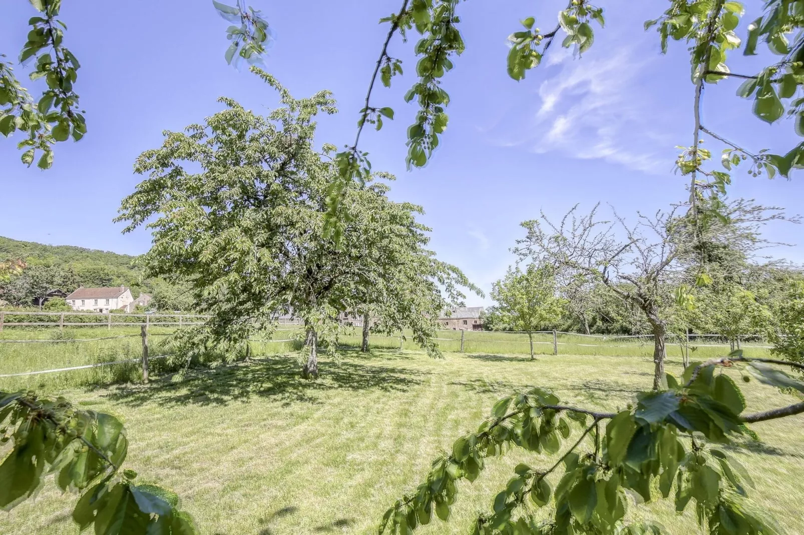 Chez Viviani-Areas summer 1km