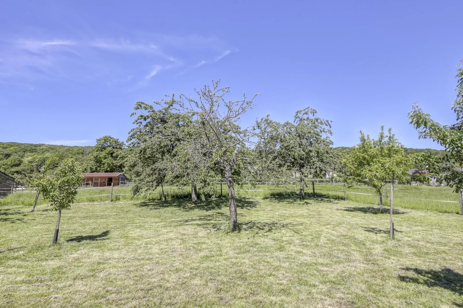 Chez Viviani-Areas summer 5km