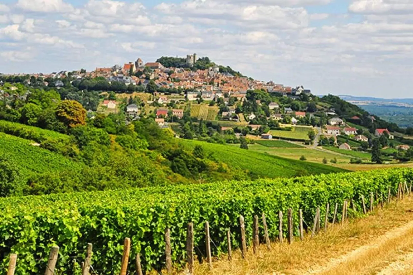 Chez Viviani-Areas summer 20km