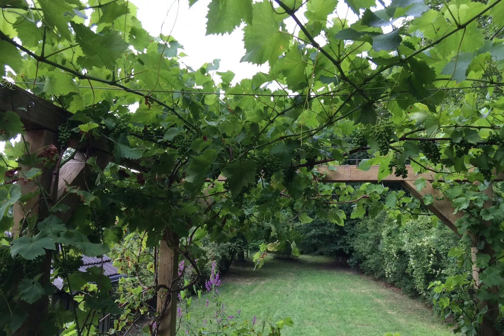 Gite Maison de Garde Barrières-Gardens summer