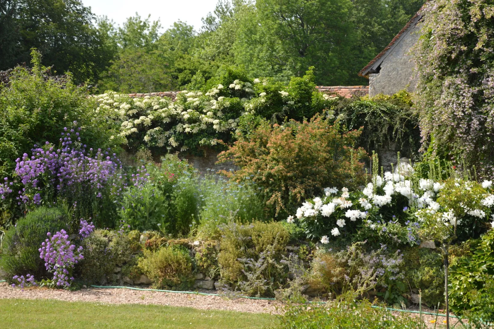 Marcoult-Gardens summer