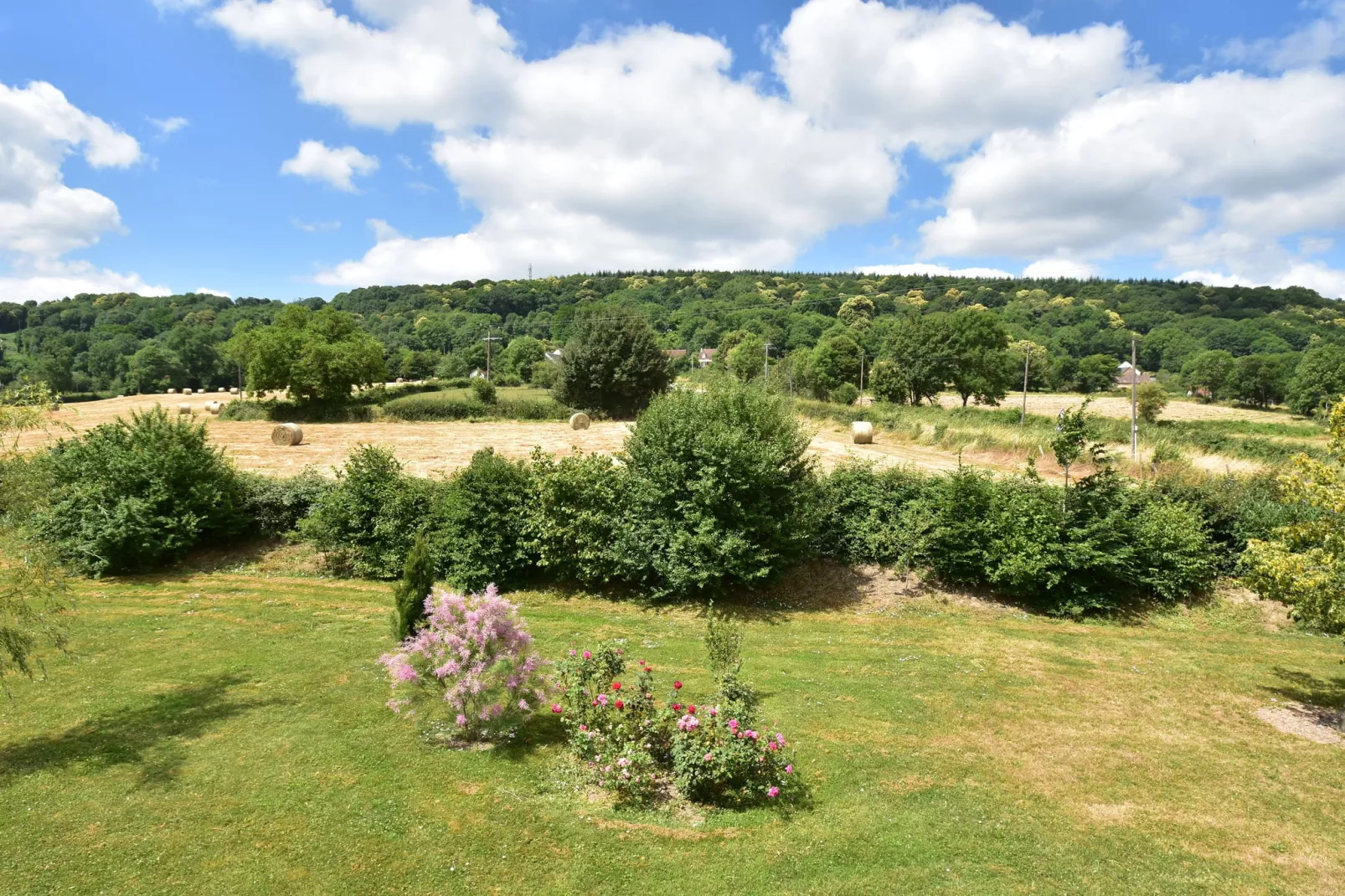 Maison de vacances Crux la Ville-Vue d'été
