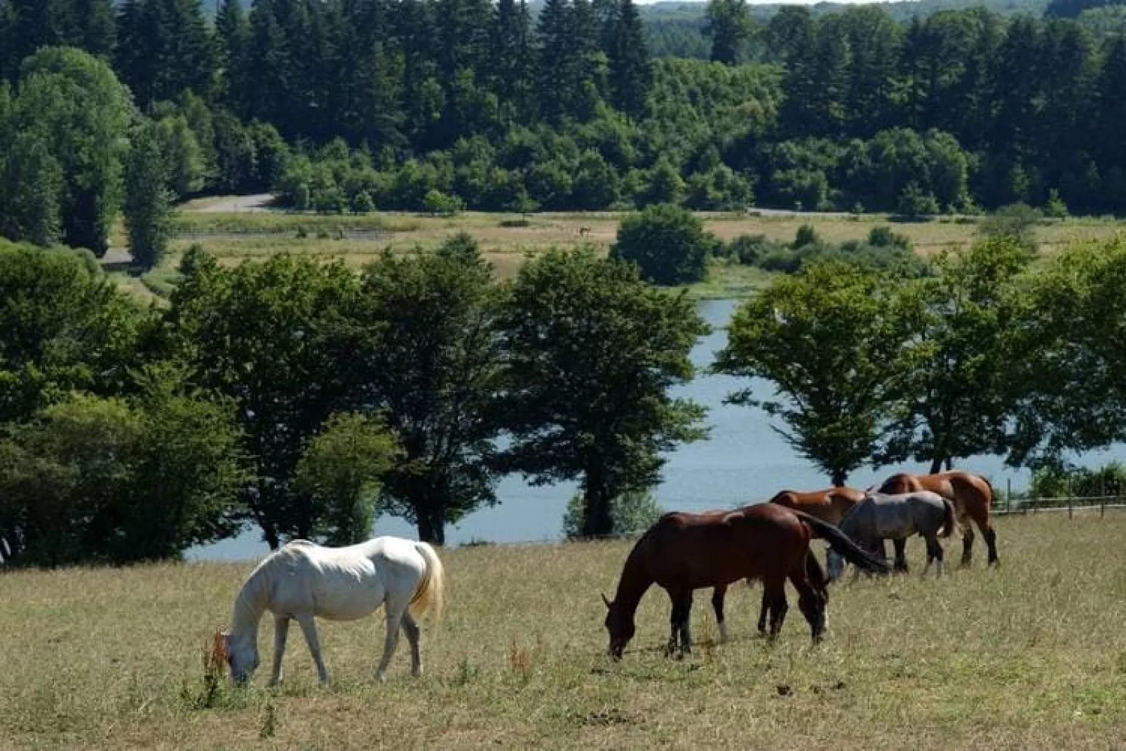 Les Hauts de Valjoly 5-Areas summer 5km