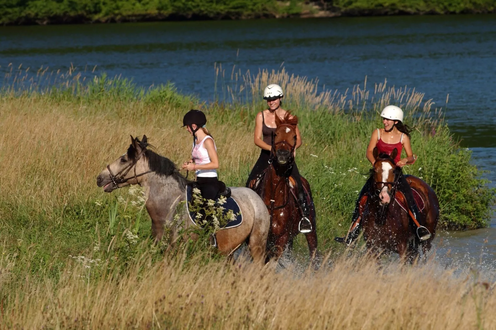 Les Hauts de Valjoly 3-Areas summer 1km