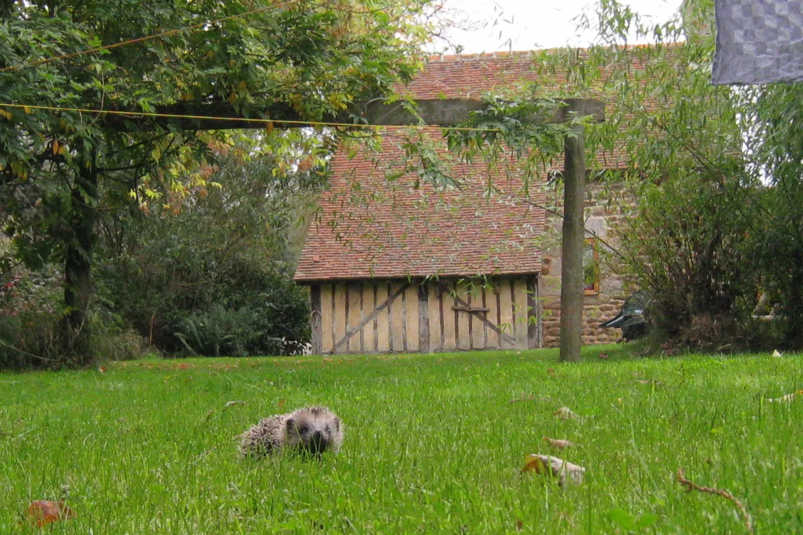 Le Fournil-Areas summer 1km