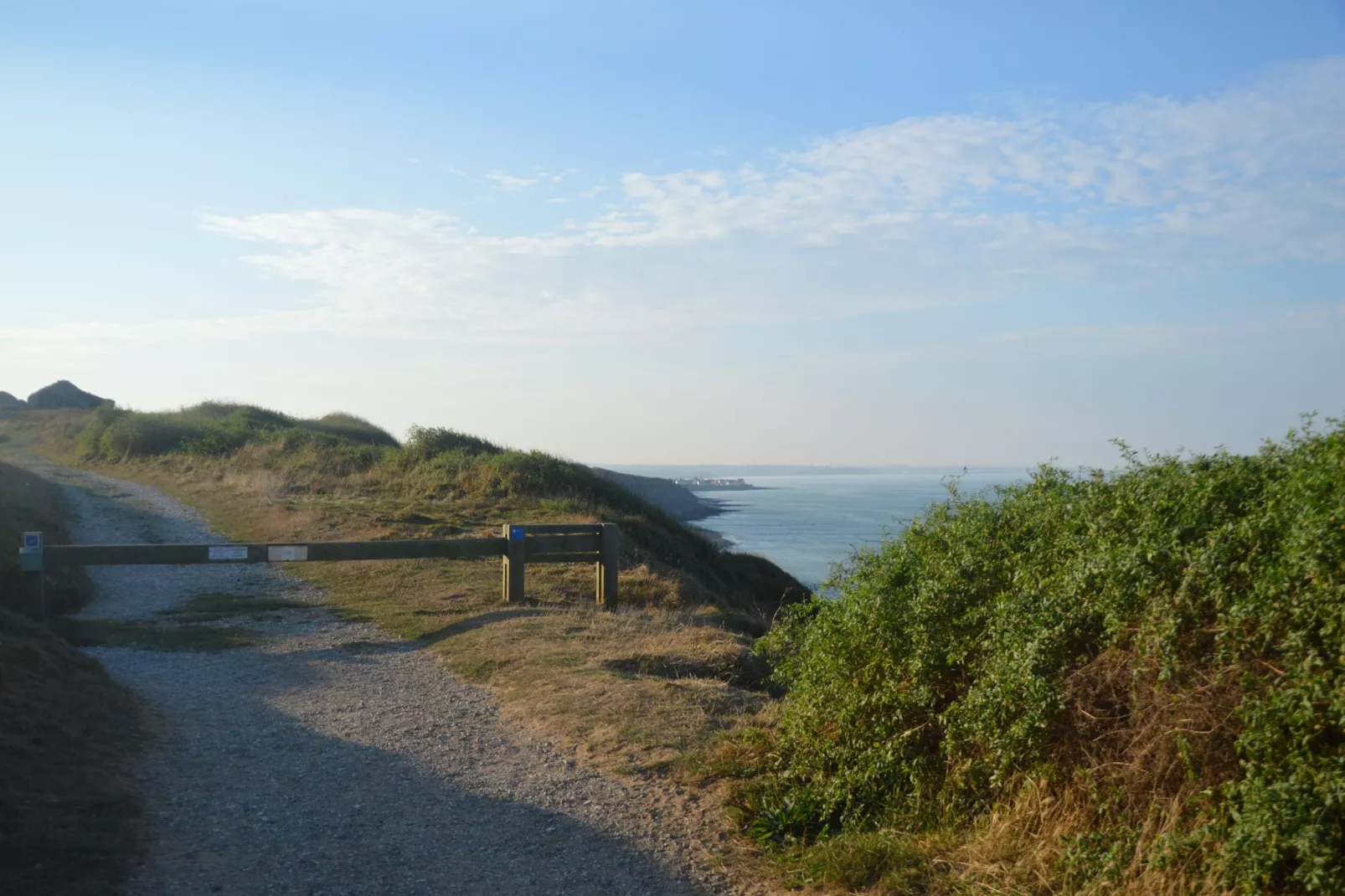 White Cliffs-Areas summer 1km