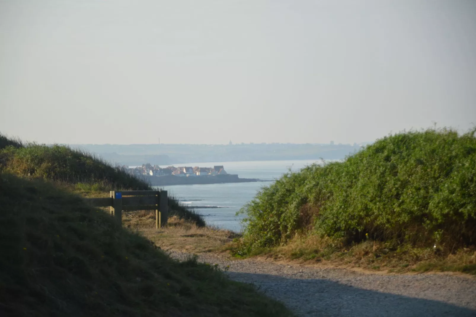 White Cliffs-Areas summer 1km