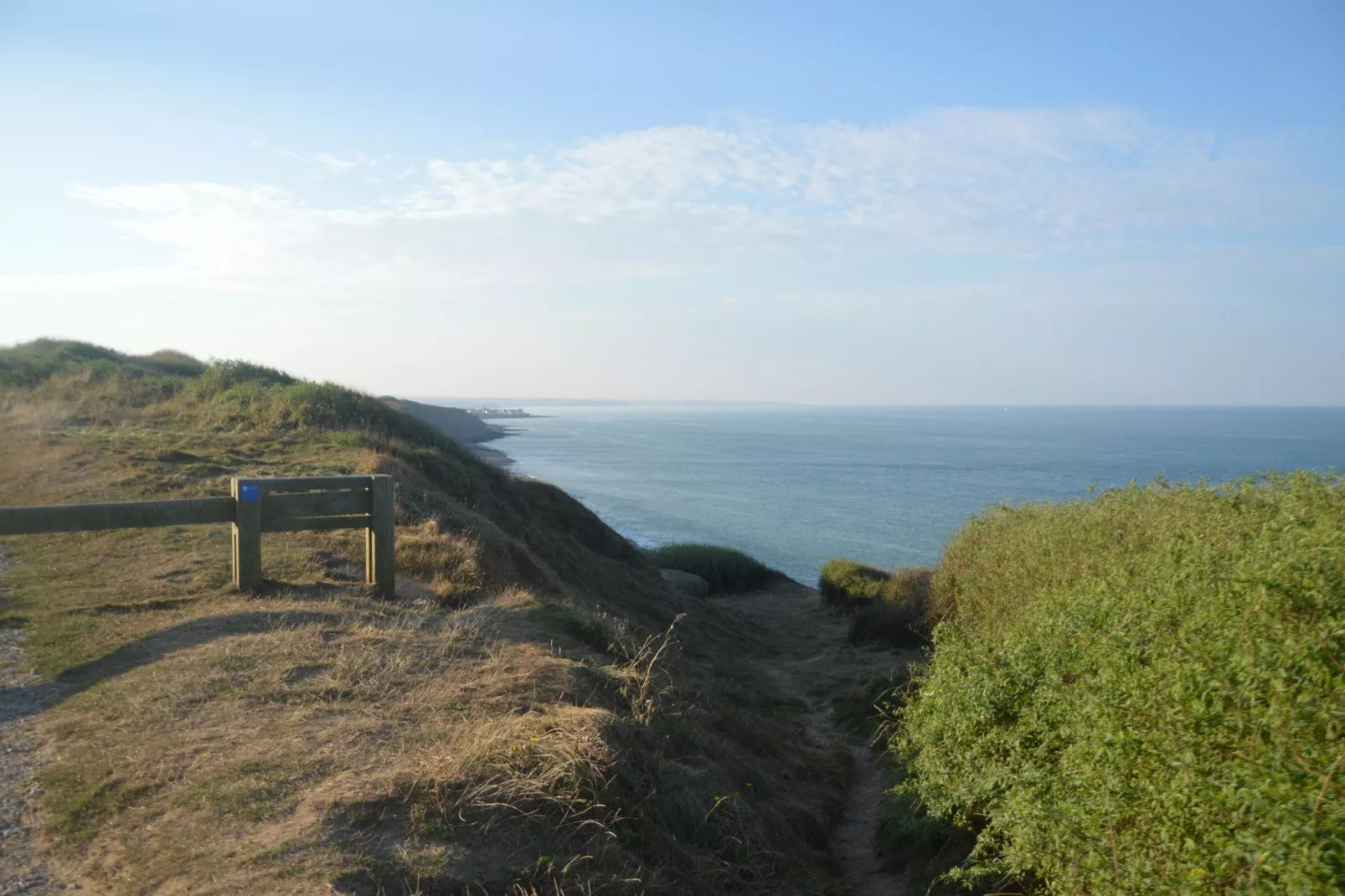 White Cliffs-Areas summer 1km