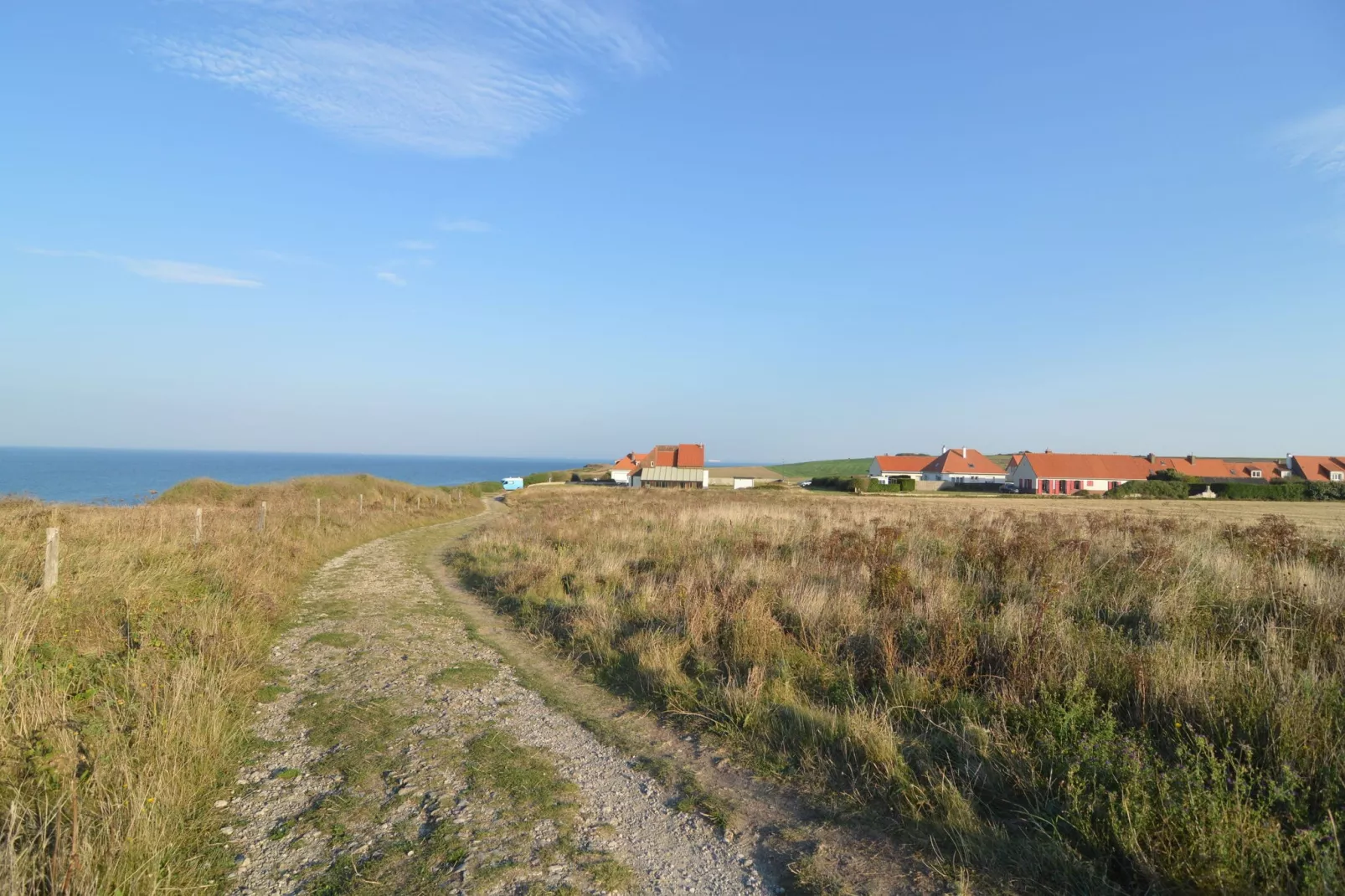 White Cliffs-Areas summer 1km