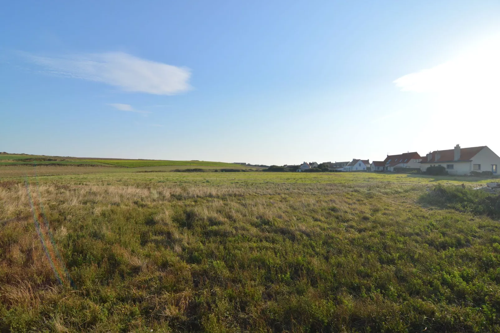 White Cliffs-Areas summer 1km