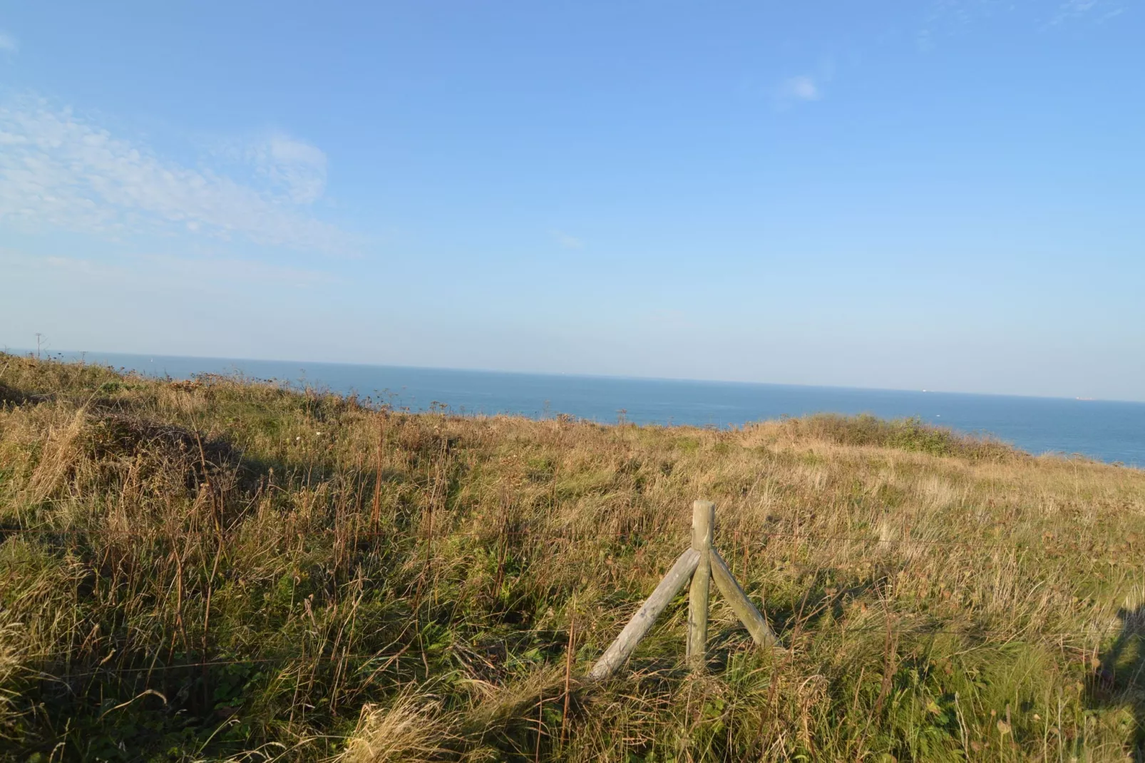 White Cliffs-Areas summer 1km
