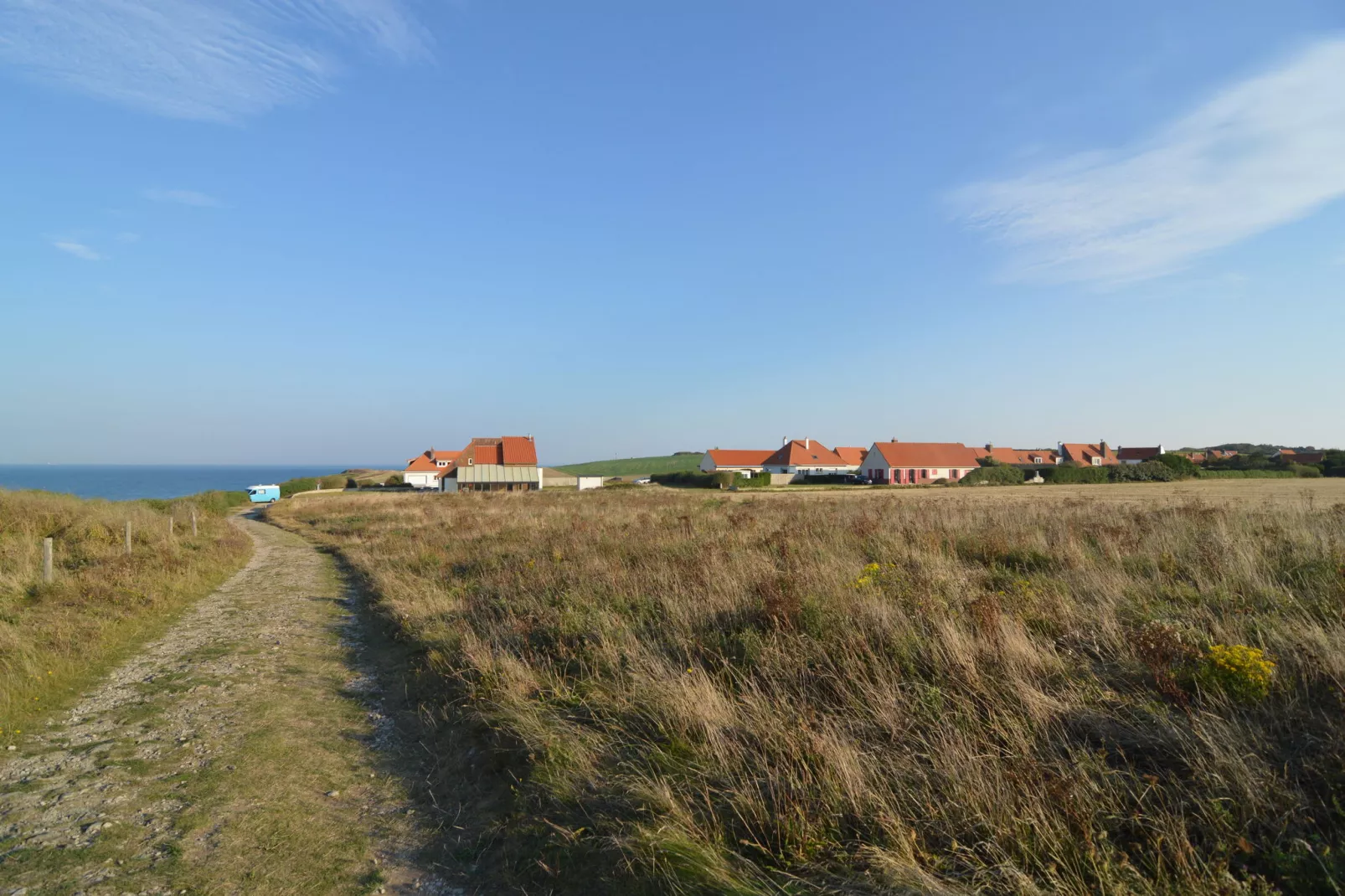 White Cliffs-Areas summer 1km