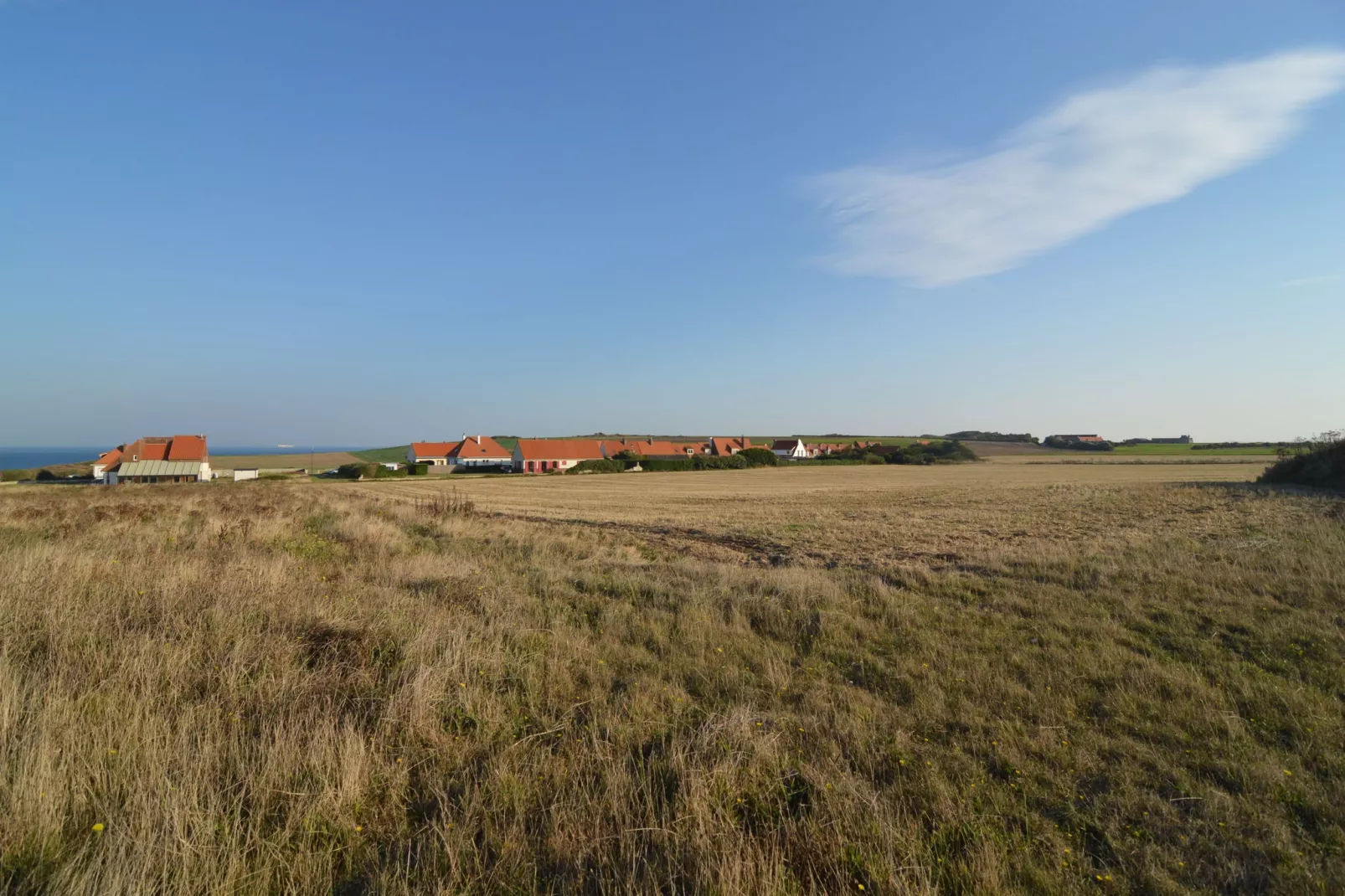 White Cliffs-Areas summer 1km