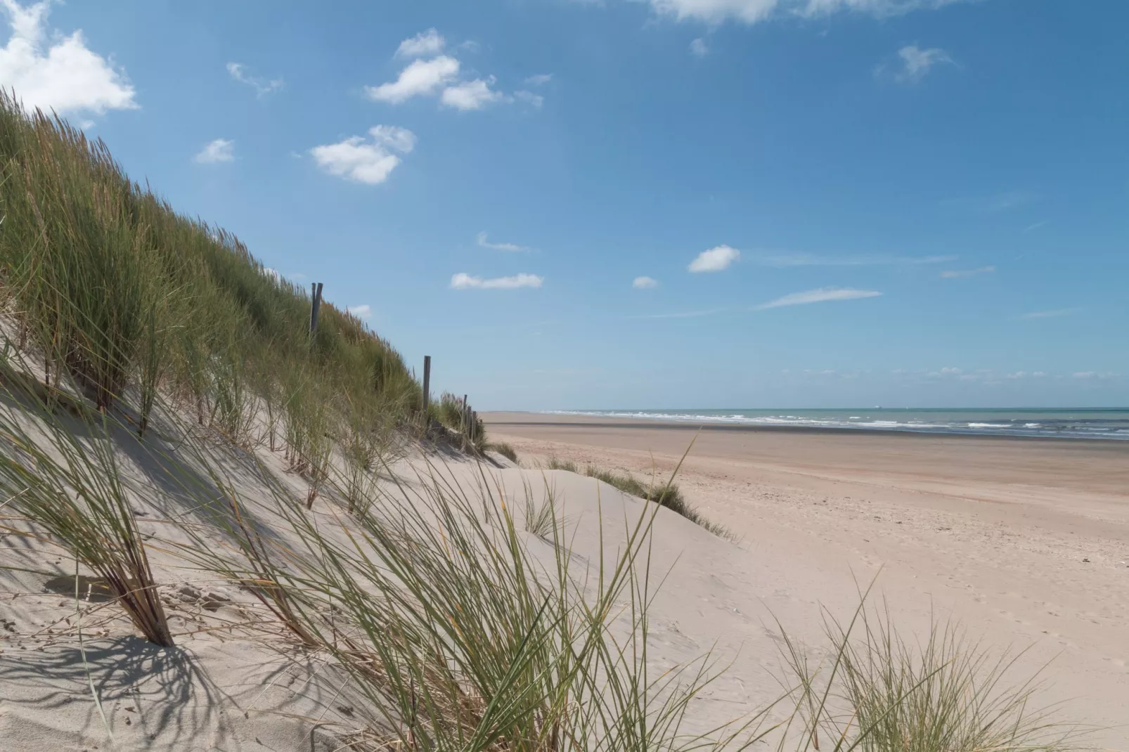 Residence Oye Plage 1-Areas summer 1km