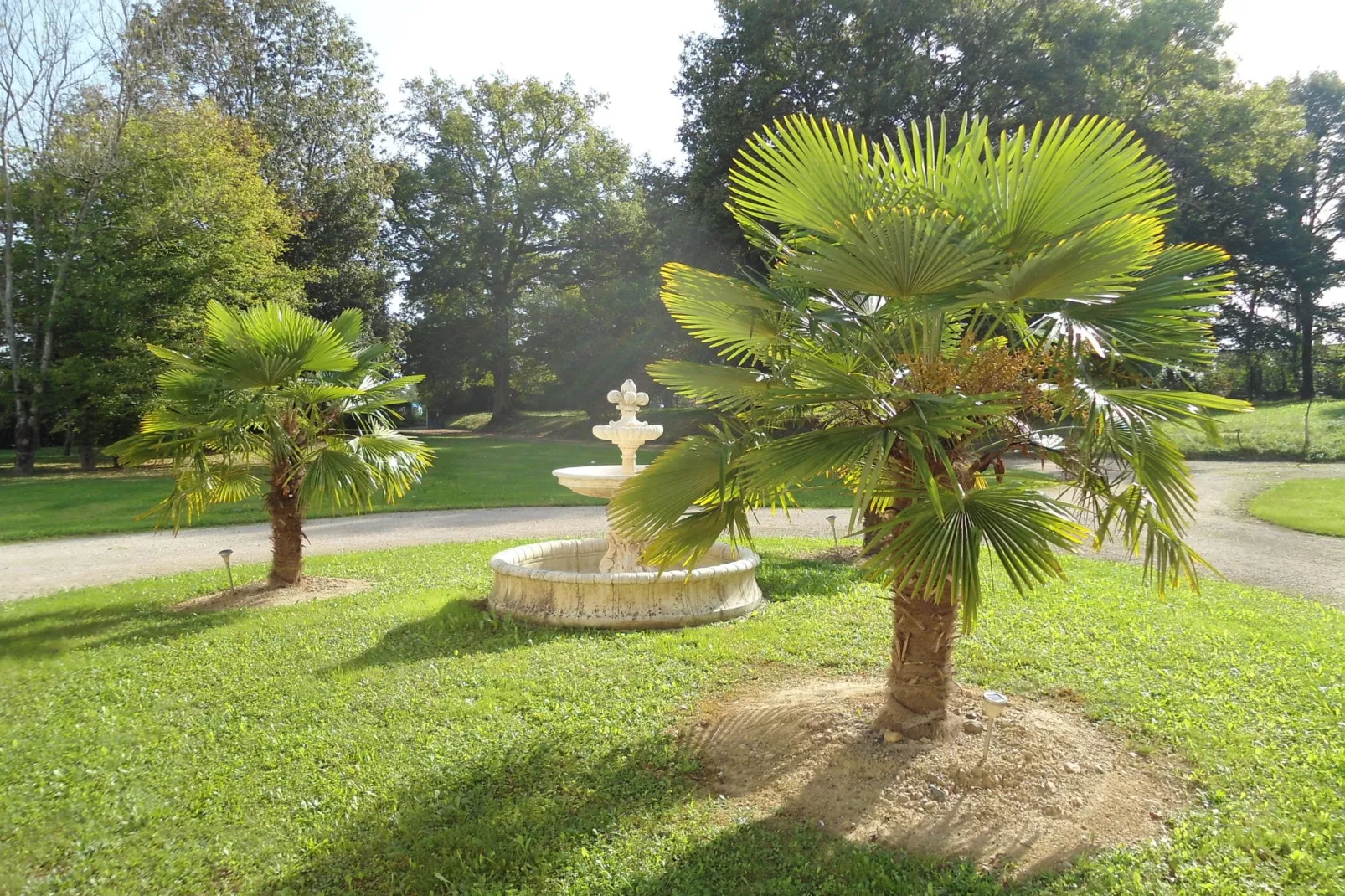 Entre le Gers et les Pyrénées XII-Gardens summer