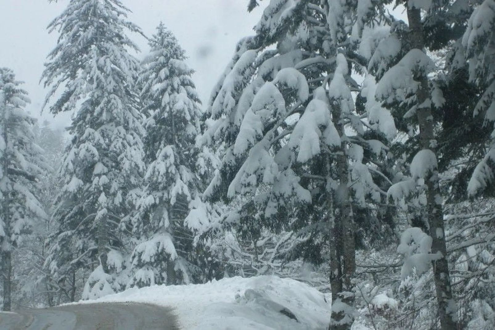 Entre le Gers et les Pyrénées VII-Area winter 20km
