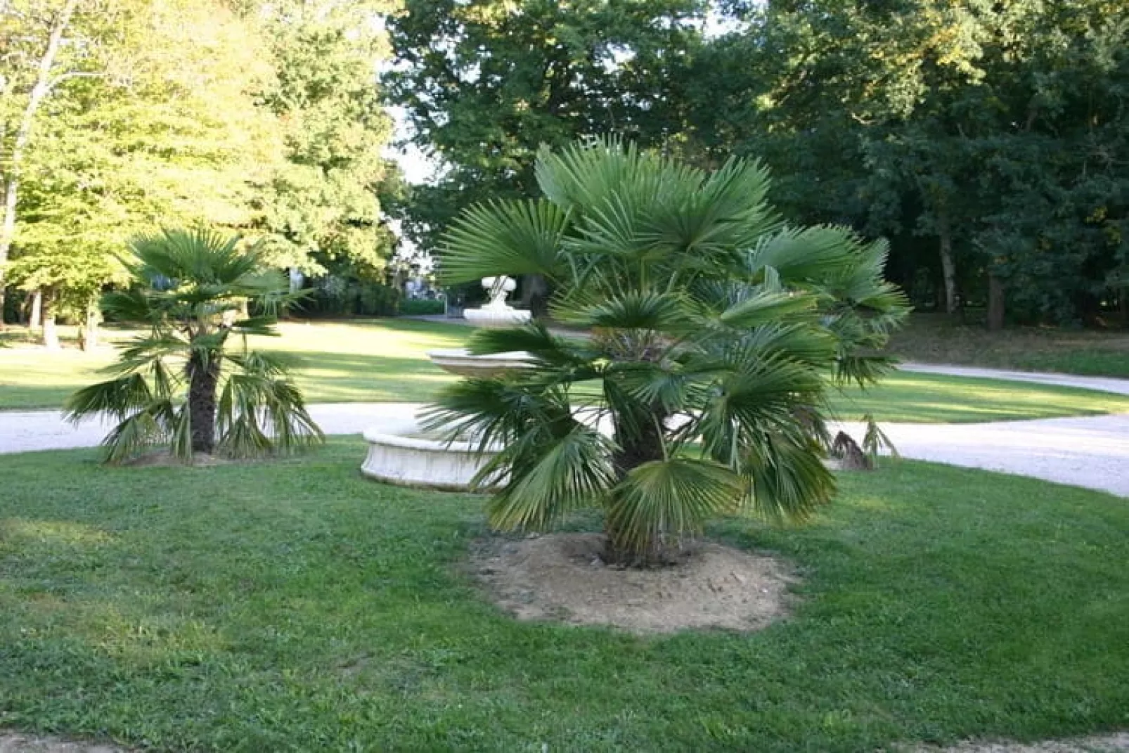 Entre le Gers et les Pyrénées V-Gardens summer