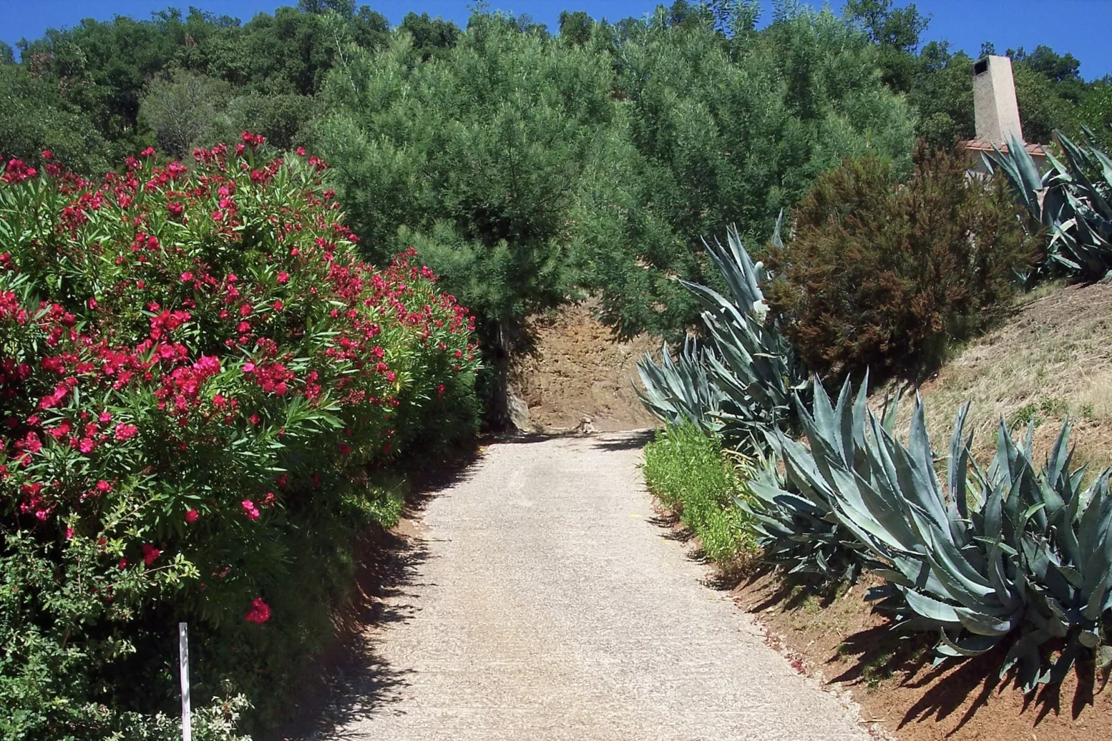 La maison Mer et Thermes-Gardens summer