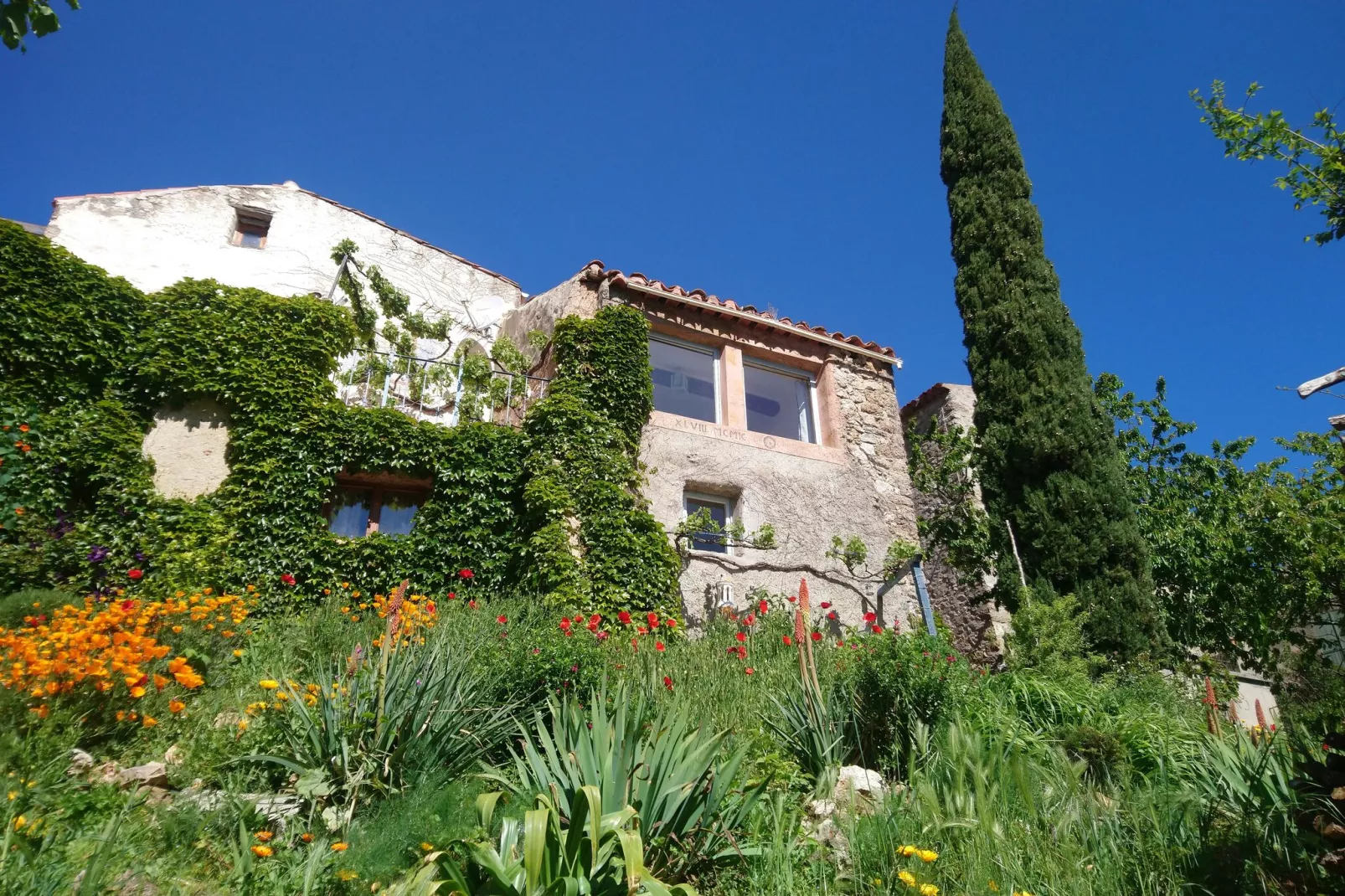 Casa Metternich-Exterior summer