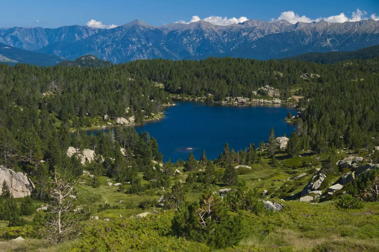 Chalet Panoramique-Areas summer 20km