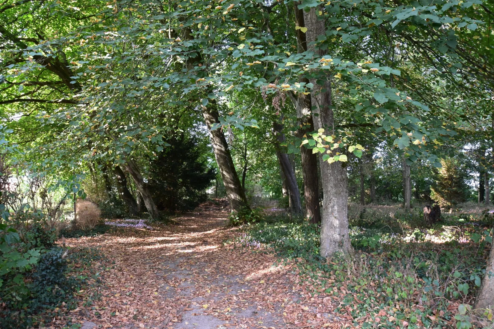 Château des Lambeys-Gardens summer