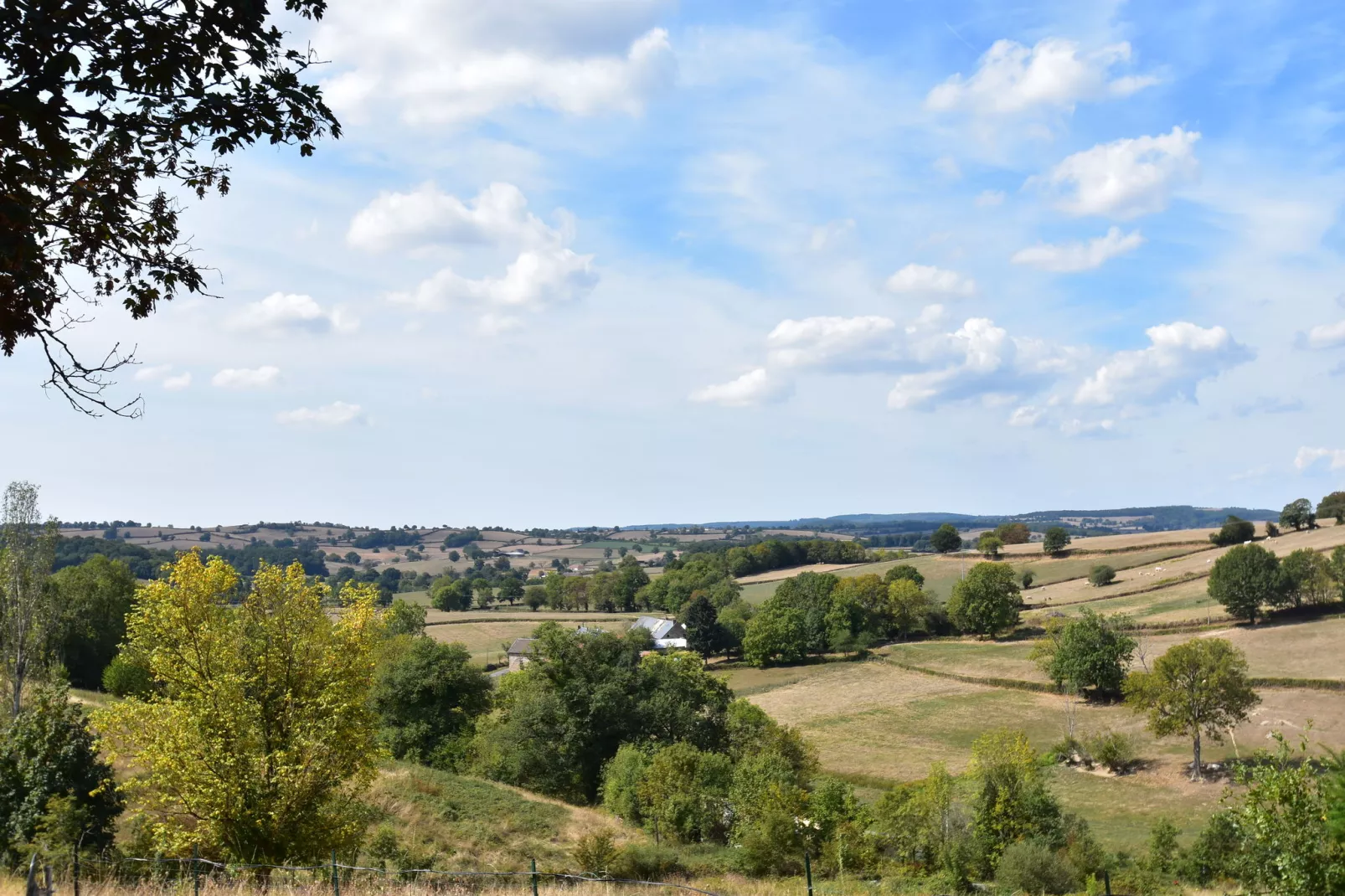 Gite 6 pers Bellevue - Le-Chardonneret-View summer