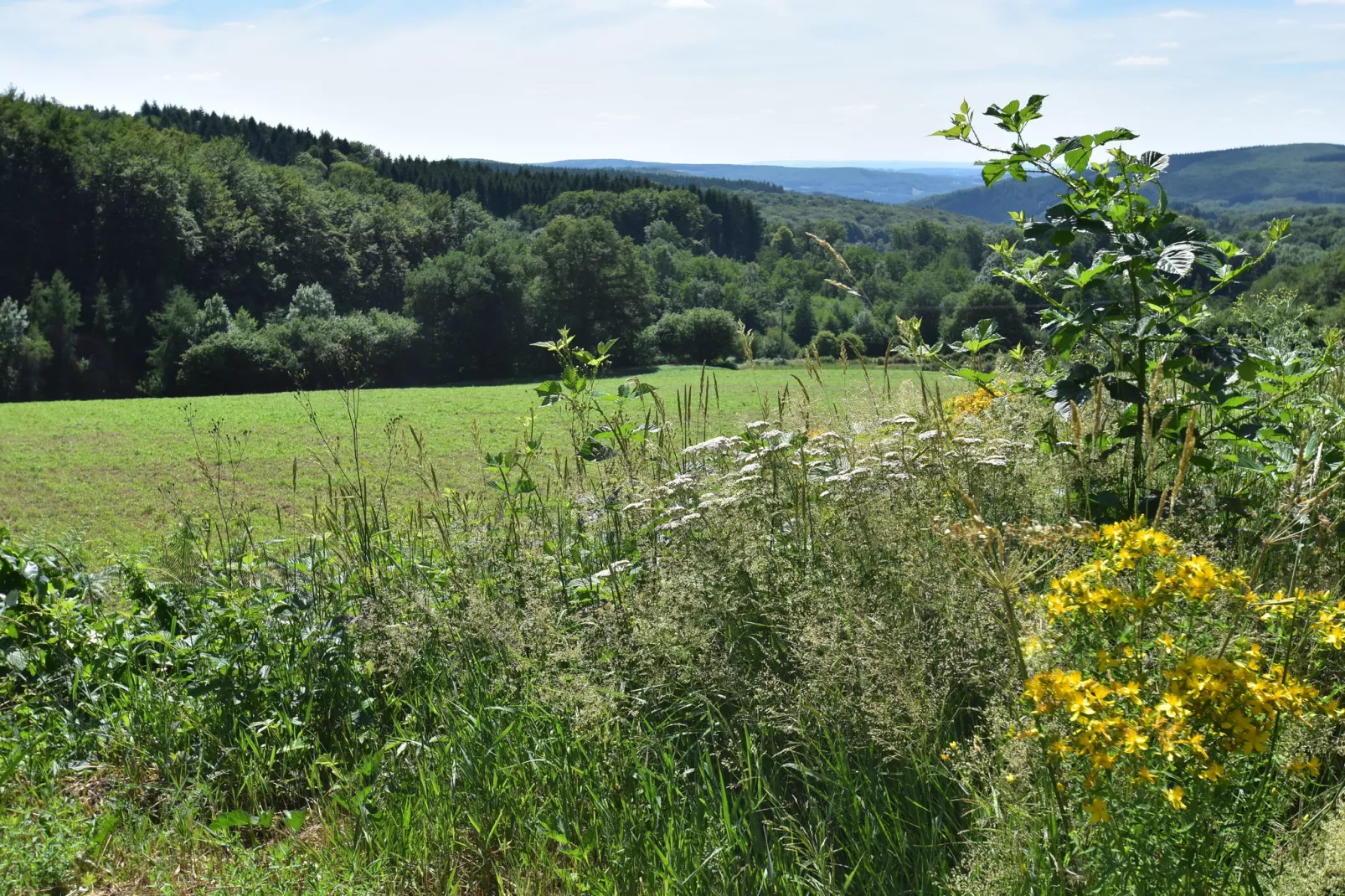 Gite 6 pers Bellevue - Le-Chardonneret-Areas summer 5km