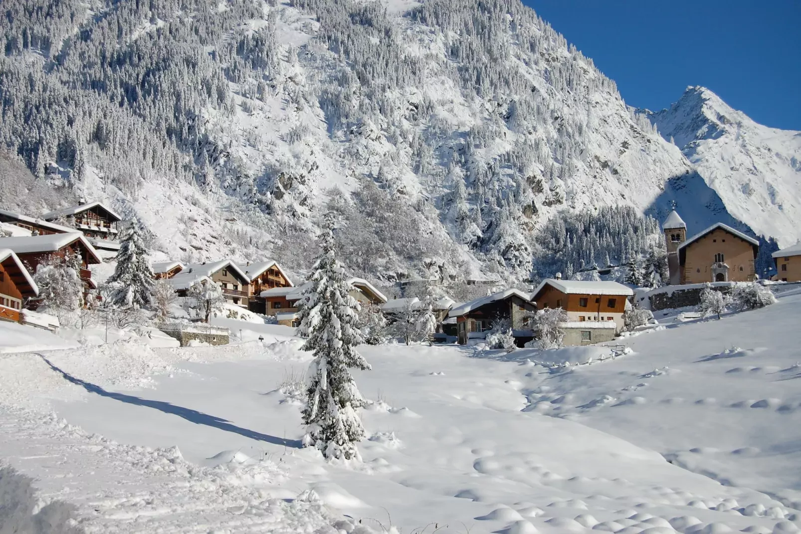Chalet Appartement Le Pointon 3-Area winter 1km