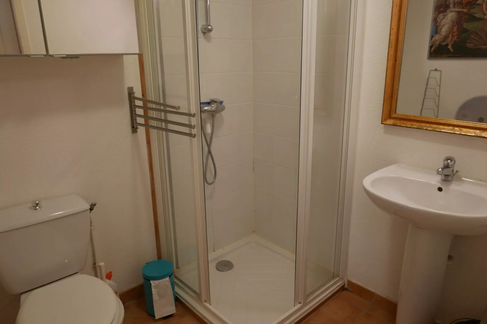 Cozy chalet in La Norma-Bathroom