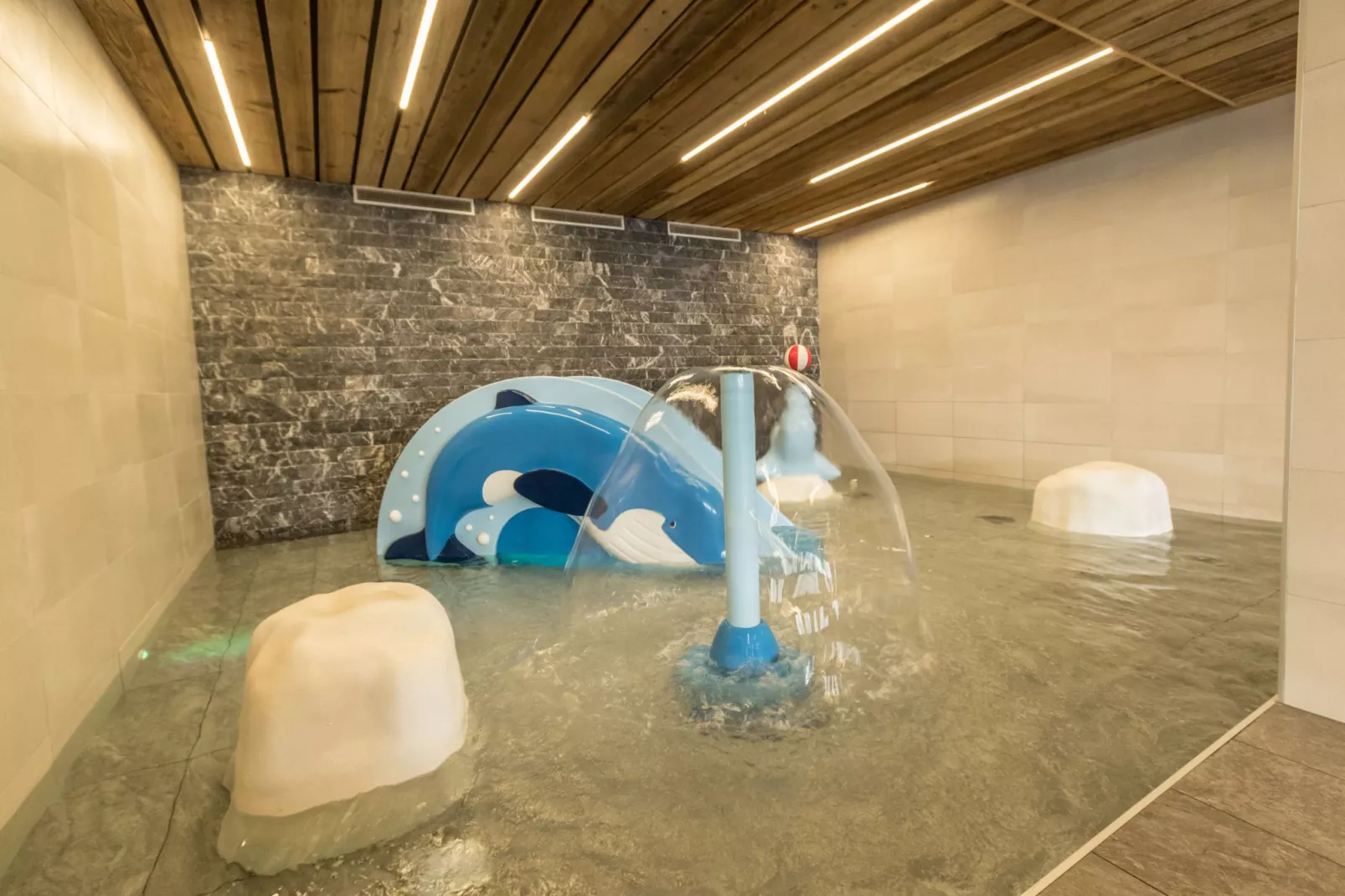 Chalet de L'Ours 3-Park facilities