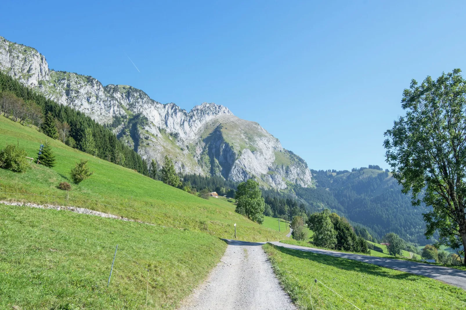 Chalet Le Mont-Areas summer 1km