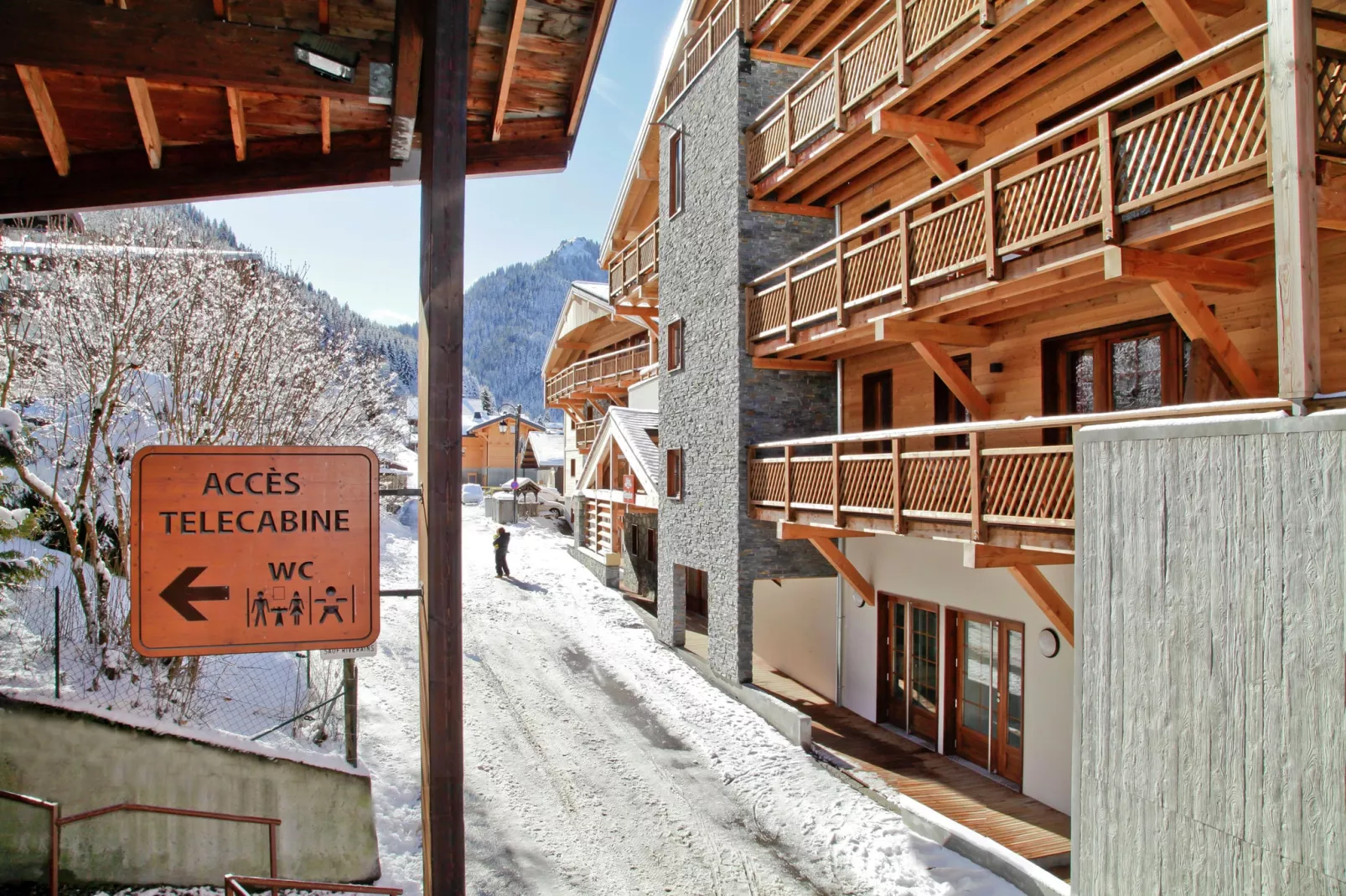 Les Fermes de Chatel 3-Area winter 1km